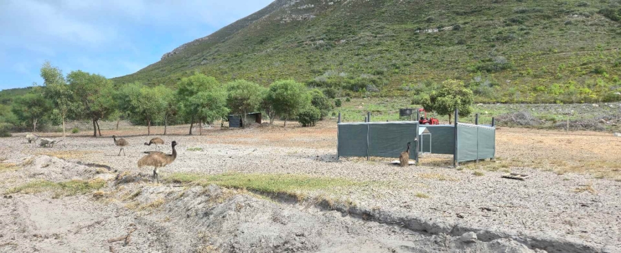 0 Bedroom Property for Sale in Franskraal Western Cape